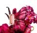 La bomba dupes by Carolina herrera - Image 3